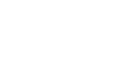 Call Courier logo